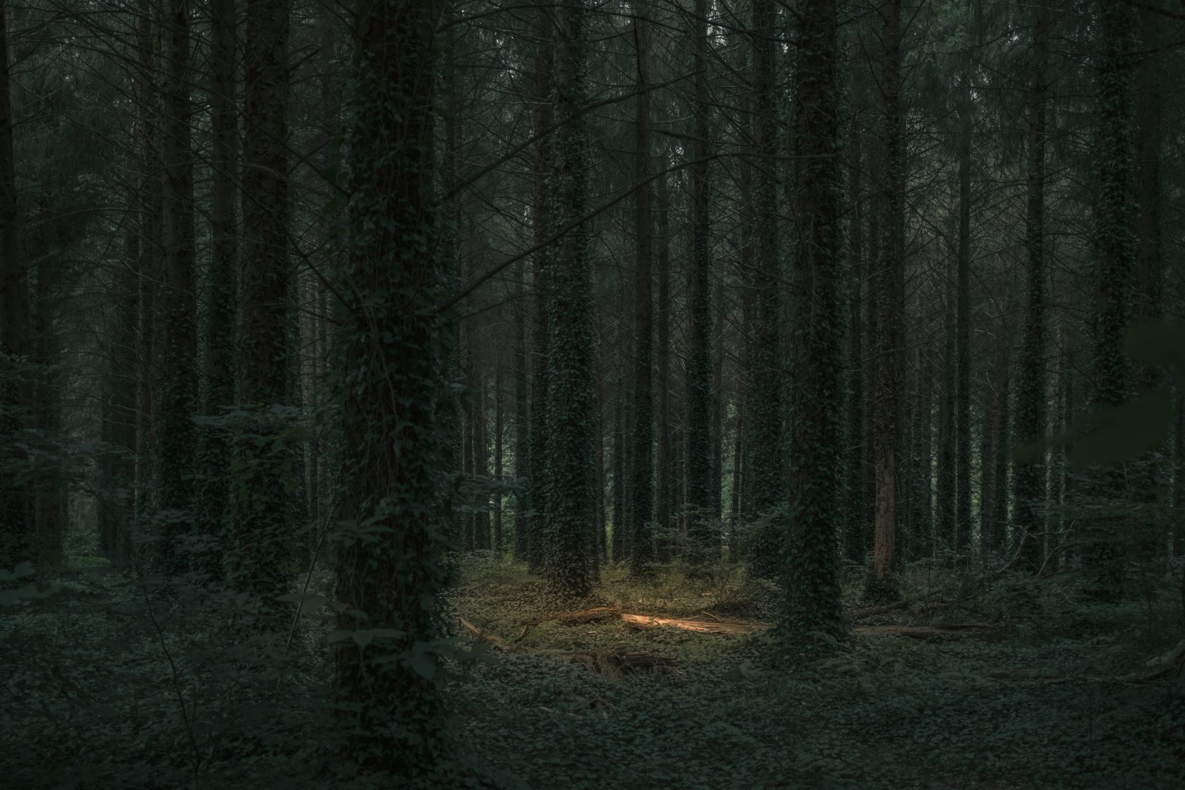 _DSF2740-Copie 8- ld