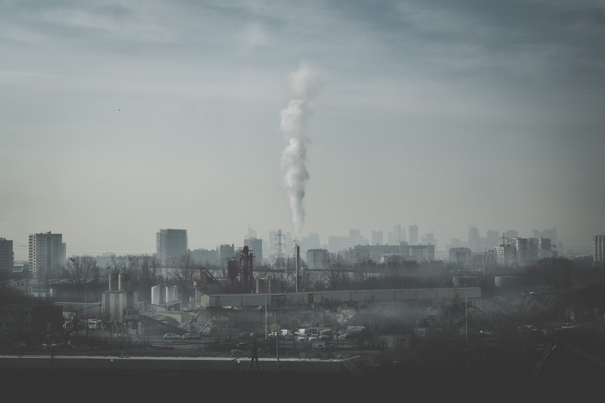 _DSF4356-Copie 3- ld