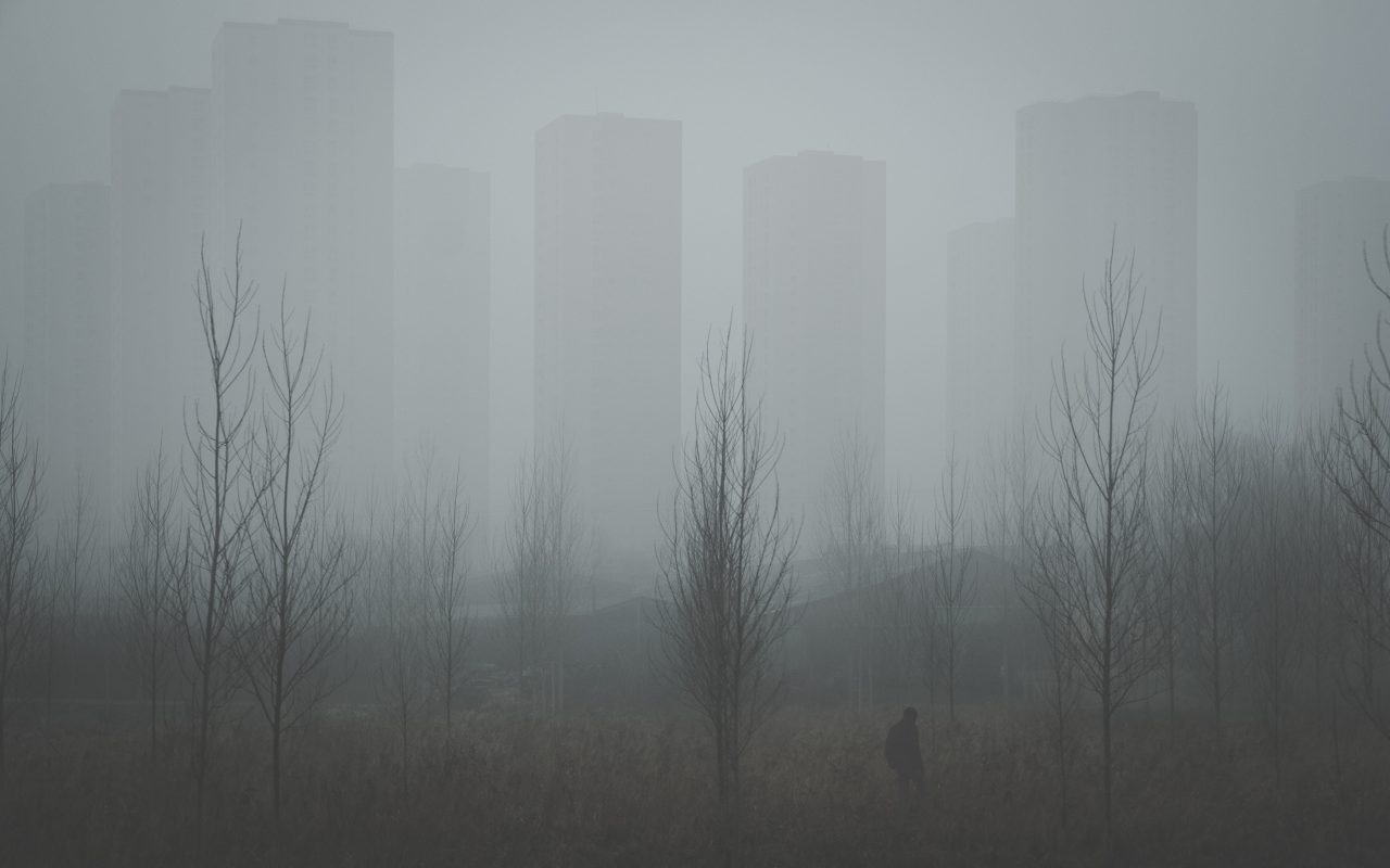 _DSF4397-edit-3– ld