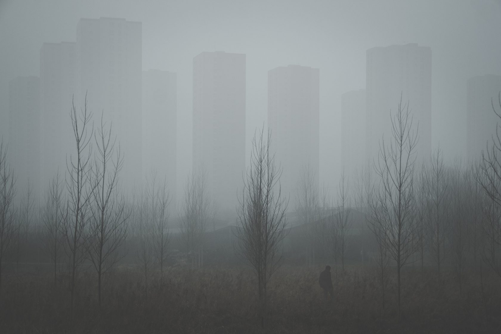 _DSF4397-edit-3– ld