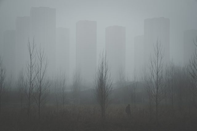 _DSF4397-edit-3– ld