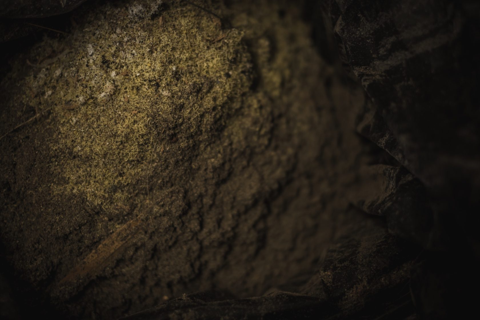 hugo-lambert_dsf2995-