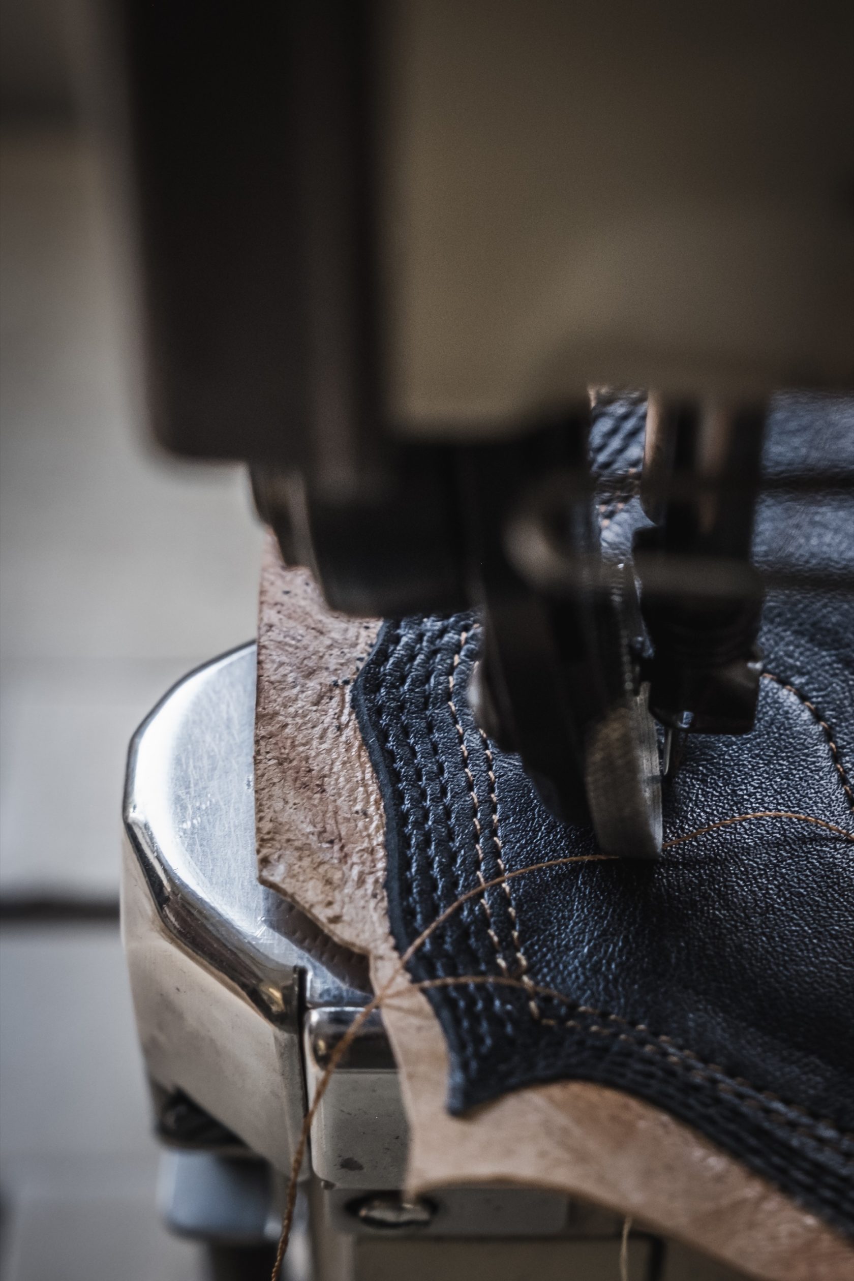 hugo-lambert_dsf6179-