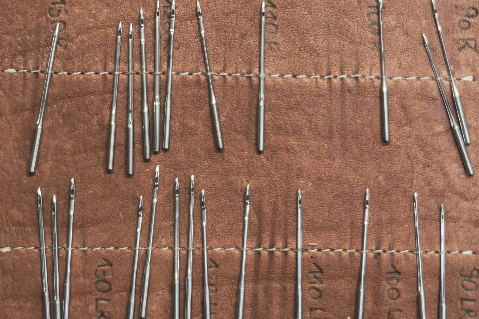 anne_gregoire_dsf0076-