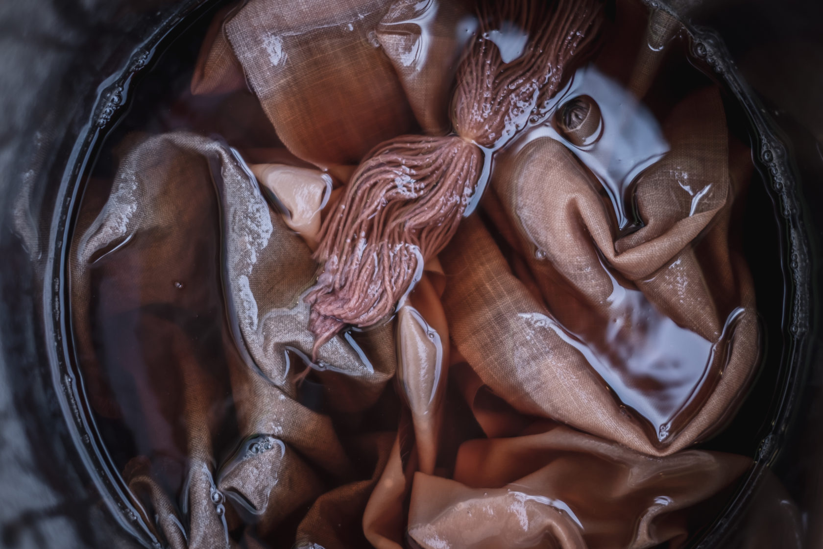 clemence-regnier_dsf4989-