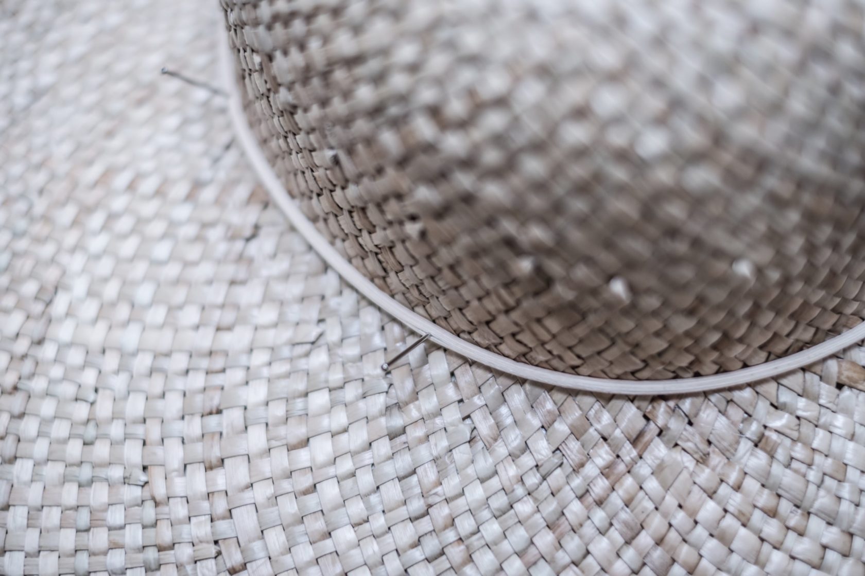 nelly_bichet_dsf0674-