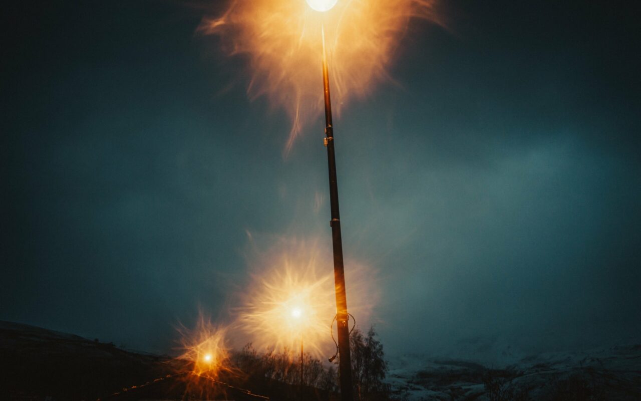 cosmos_incorprating_L1008816-