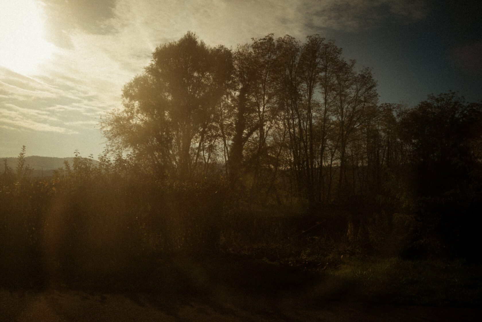 L1008059-_FranckLebegue
