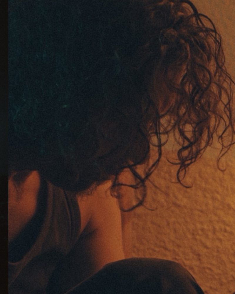 cosmos_incoporating_IMG_9307