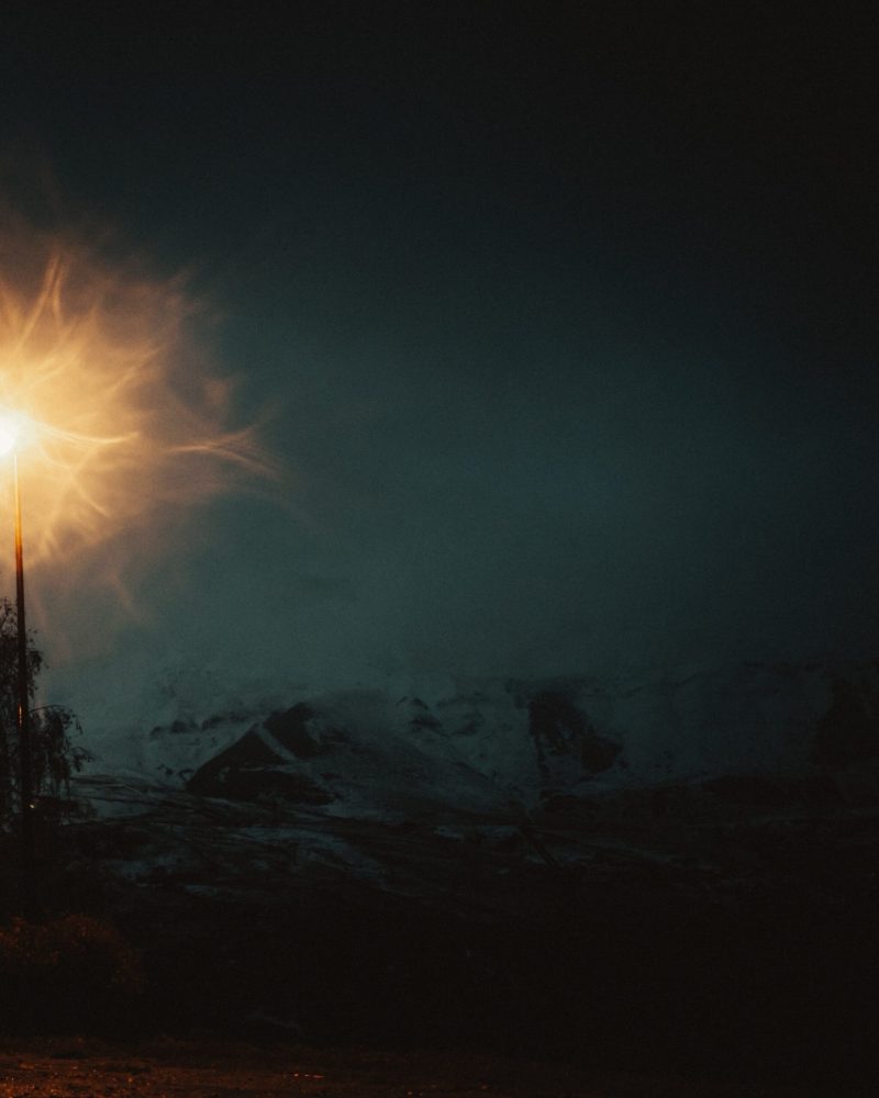 cosmos_incoporating_IMG_9308