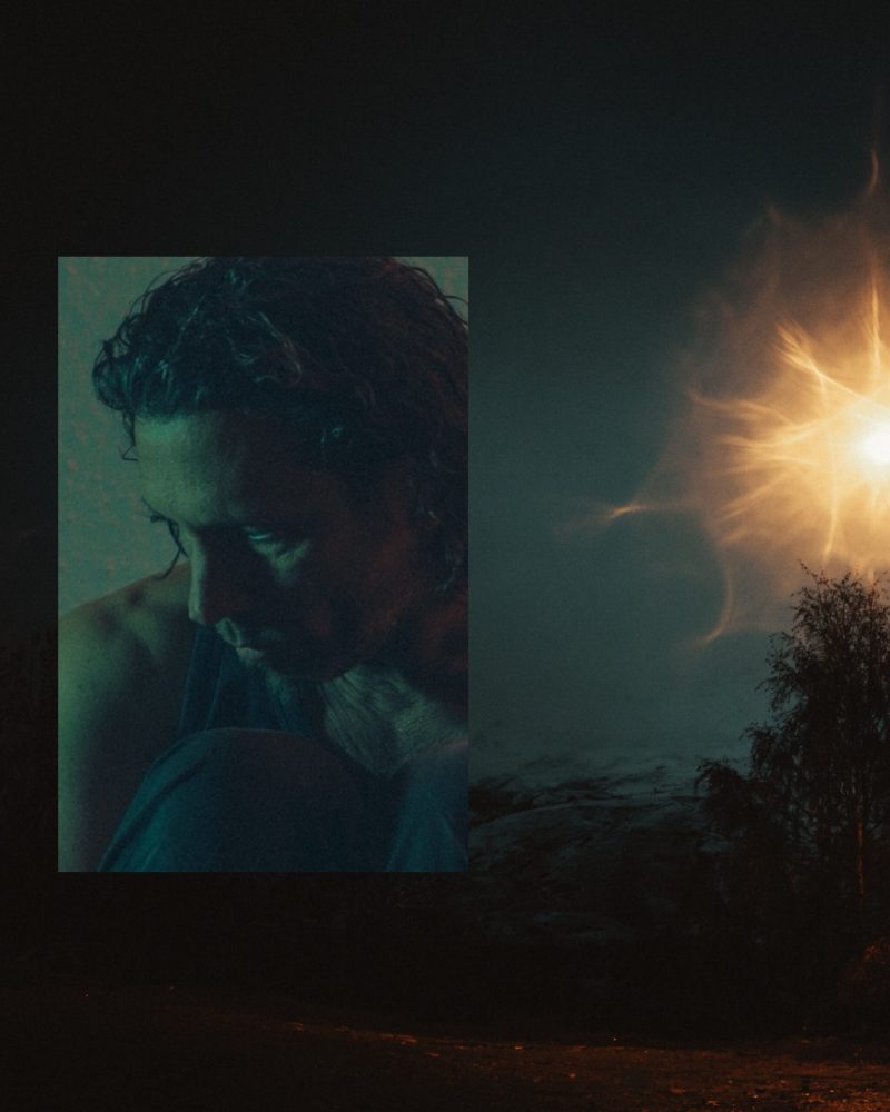 cosmos_incoporating_IMG_9309