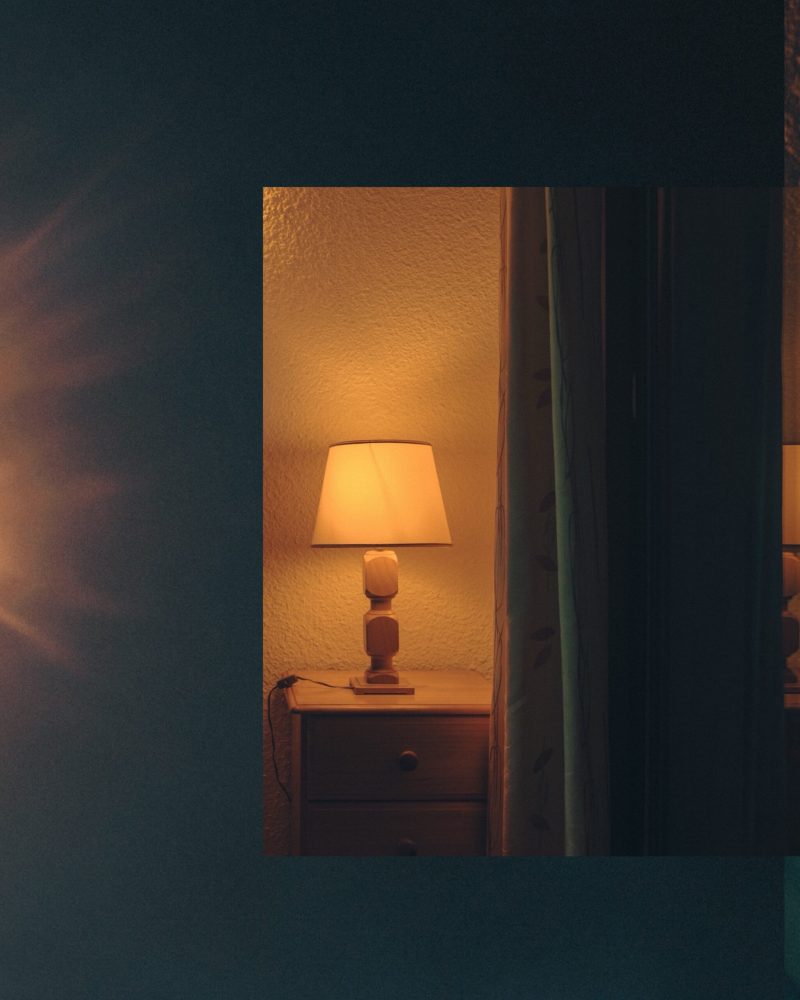 cosmos_incoporating_IMG_9311