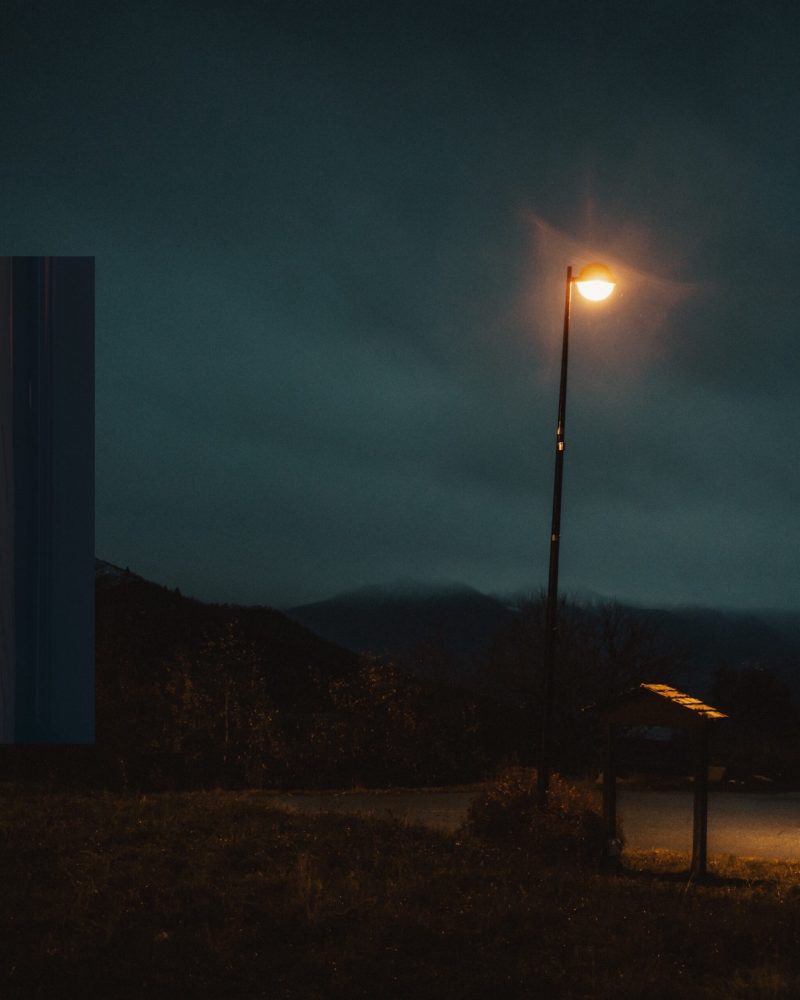 cosmos_incoporating_IMG_9313