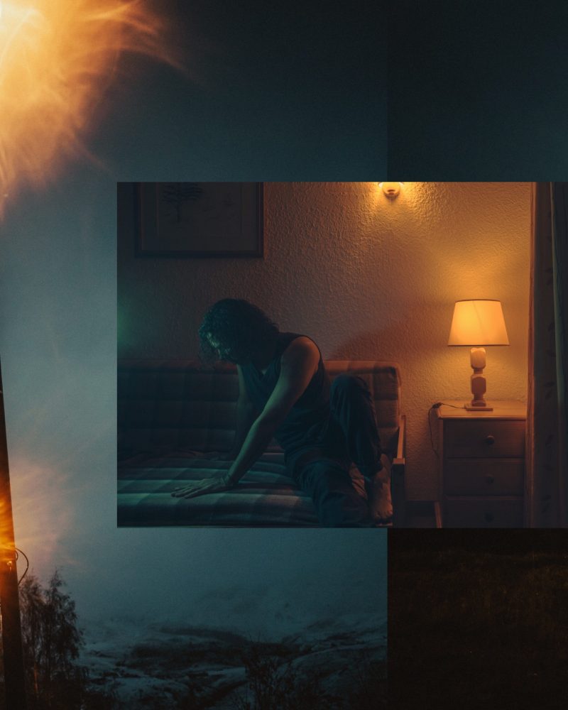 cosmos_incoporating_IMG_9314